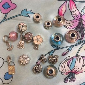 17 pandora charms..